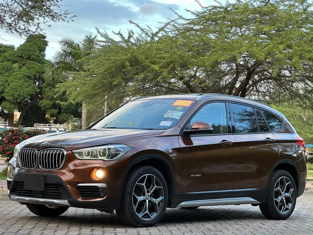 BMW X1 SERIES thumbnail 2